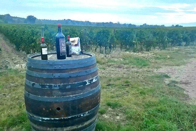 Vespa Tour in Chianti Small Group from Florence - Stop 2: Casale dello Sparviero Winetour (Cypress Avenue to Tasting)
