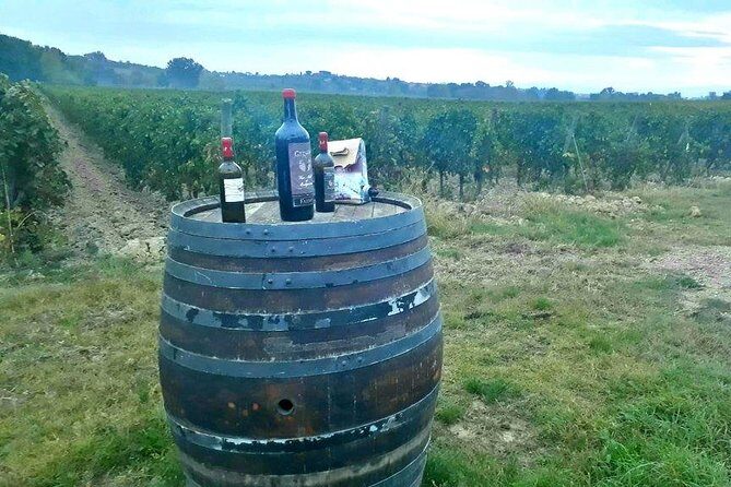 Vespa Tour with Lunch&Chianti Winery from Siena - Who this tour is best for (and who should think twice)
