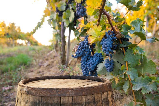 Vintage Fiat 500 Tour from Siena: Tuscan Hills and Winery Lunch - When Vintage Cars Add Stress (and What to Do About It)