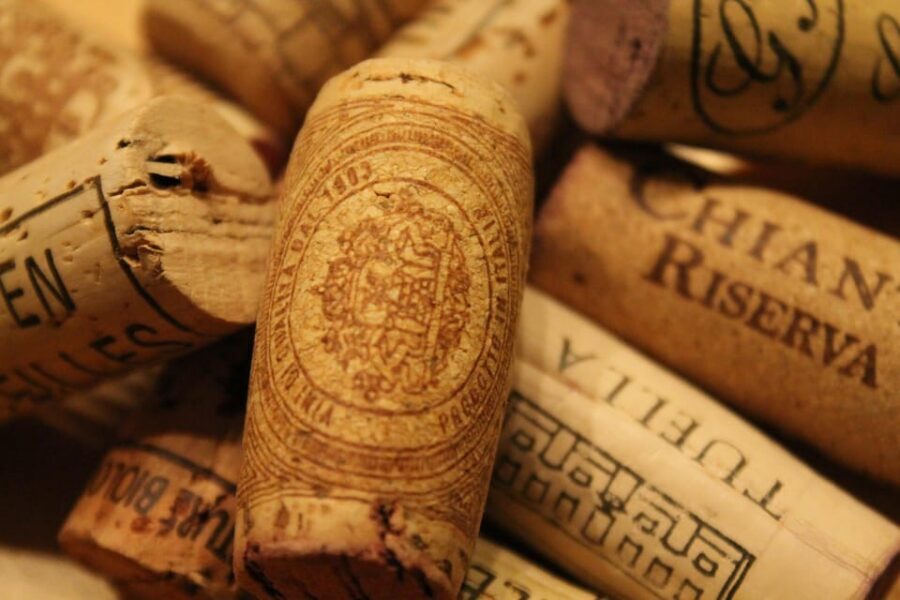 Walking Tour in Siena with Tastings and Stories - Pacing, group size, and what to expect while walking