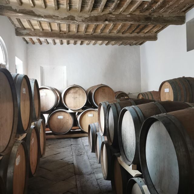Wine Experience in an Organic Chianti Winery - The 90-Minute Tour: Cellar, Chapel, and Olive Mill